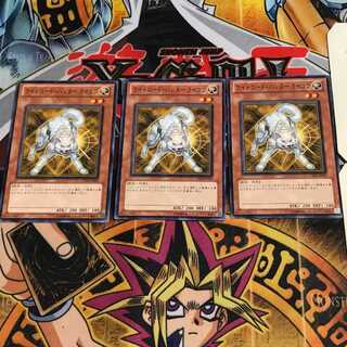 ライトロード・ハンター ライコウ 3 ノーマル 3枚セット てら