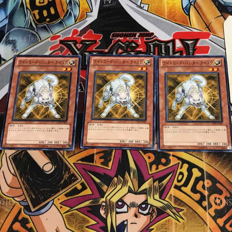 Ryko, Lightsworn Hunter 5 Normal, set of 3 Tera