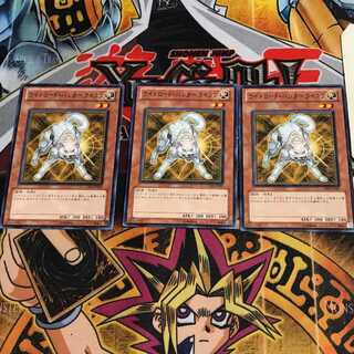 ライトロード・ハンター ライコウ 5 ノーマル 3枚セット てら