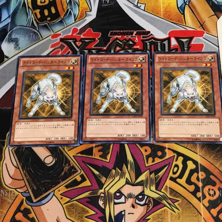 Ryko, Lightsworn Hunter 7 Normal, set of 3 Tera