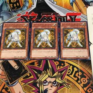 ライトロード・ハンター ライコウ 8 ノーマル 3枚セット てら