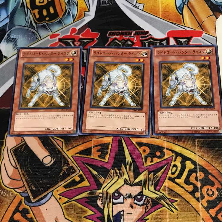 Ryko, Lightsworn Hunter 10 Normal, set of 3 Tera