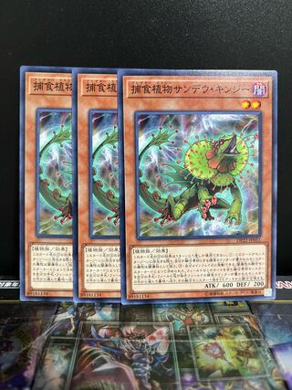 Yu-Gi-Oh Studio 5492 Predaplant Chlamydosundew Normal JP051