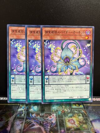 遊戯王スタジオ 5496 捕食植物スパイダー・オーキッド ノーマル JP075