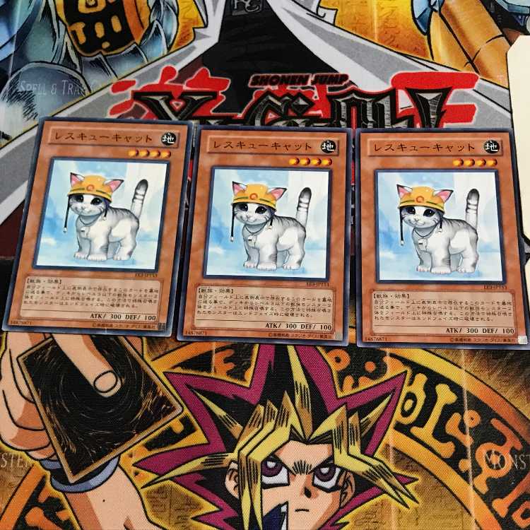 Rescue Cat 2 Normal, set of 3 Tera