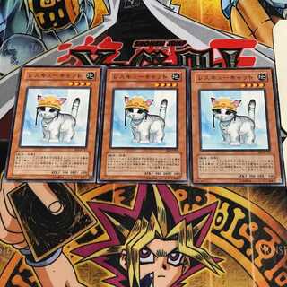 Rescue Cat 6 Normal, set of 3 Tera