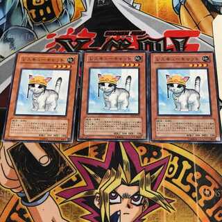 Rescue Cat 7 Normal, set of 3 Tera