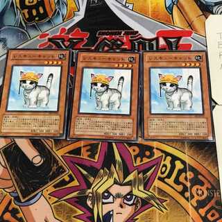 Rescue Cat 8 Normal, set of 3 Tera