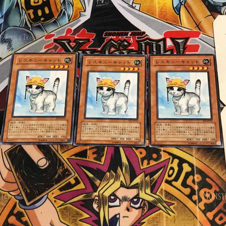 Rescue Cat 9 Normal, set of 3 Tera.