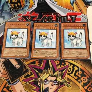 Rescue Cat 9 Normal, set of 3 Tera.