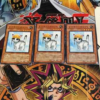 Rescue Cat 10 Normal, set of 3 Tera