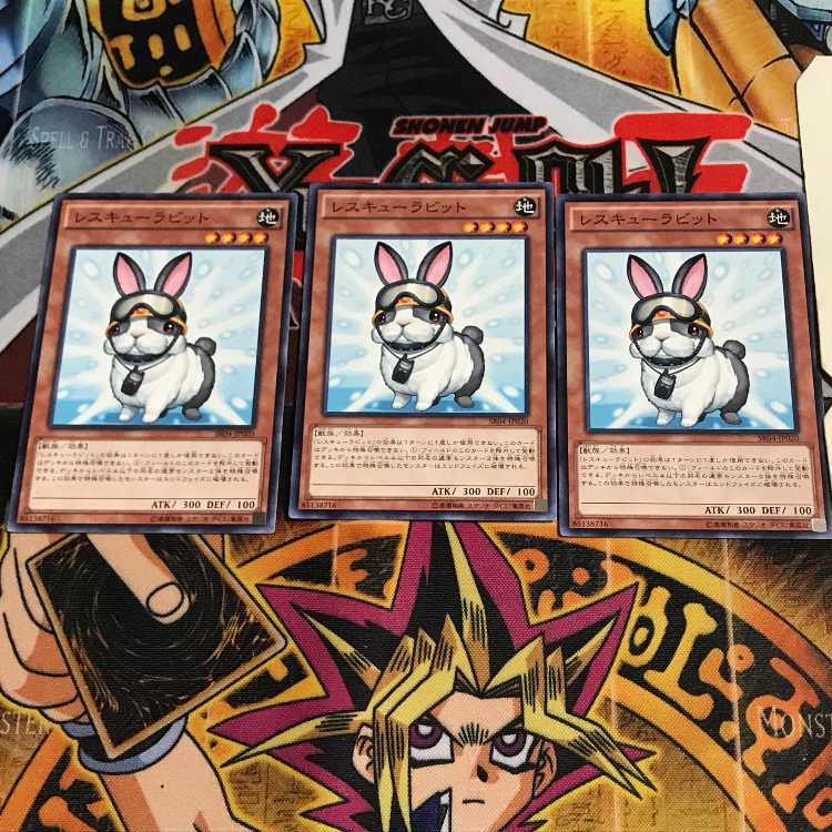 Rescue Rabbit 5 Normal, set of 3 Tera