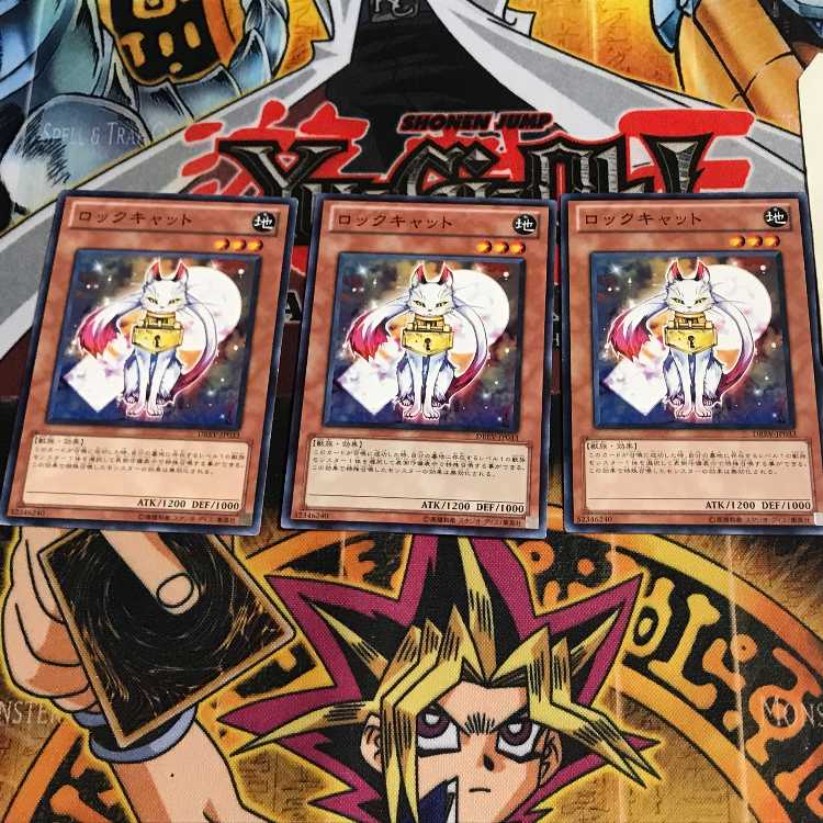 Lock Cat 3 Normal, set of 3 Tera.