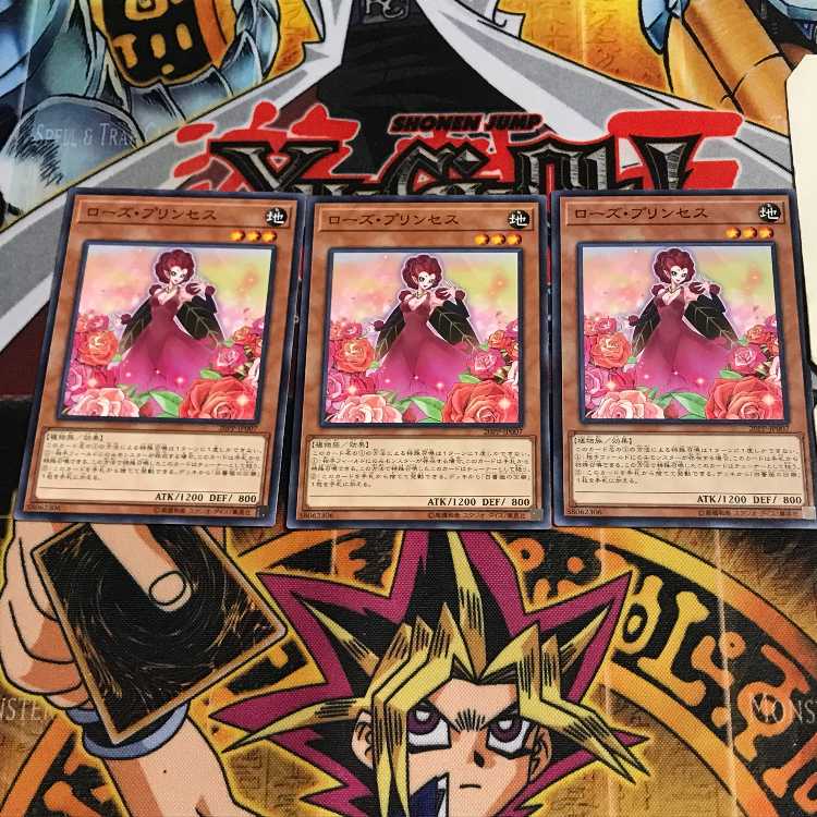 Rose Princess 2 Normal, set of 3 Tera