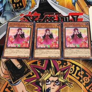 Rose Princess 2 Normal, set of 3 Tera