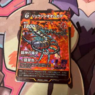 Rhizophora mucronata (species of centipede)