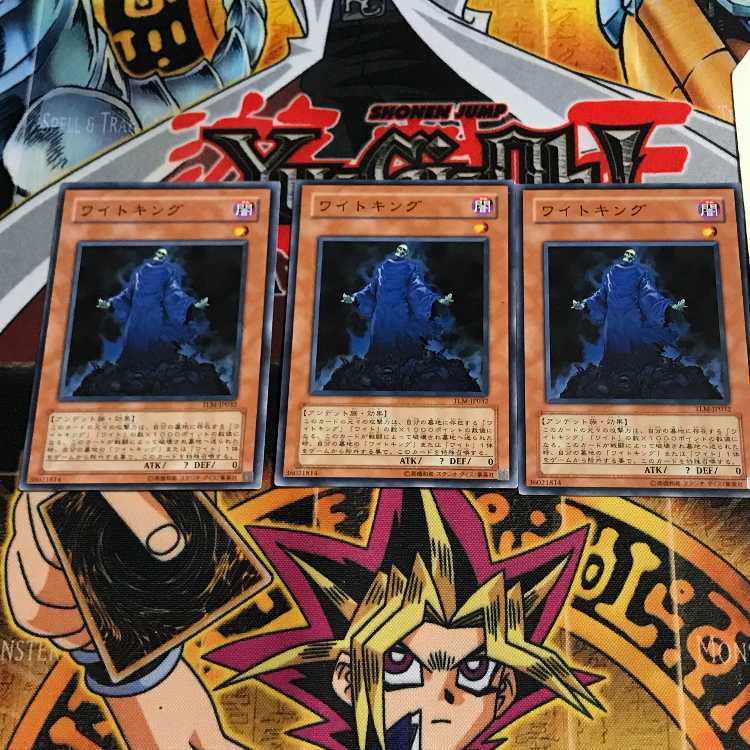 King of the Skull Servants 4 Normal, set of 3 Tera.