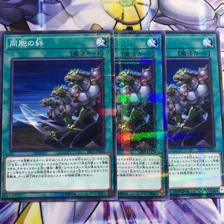 同胞の絆　3枚　パラレル