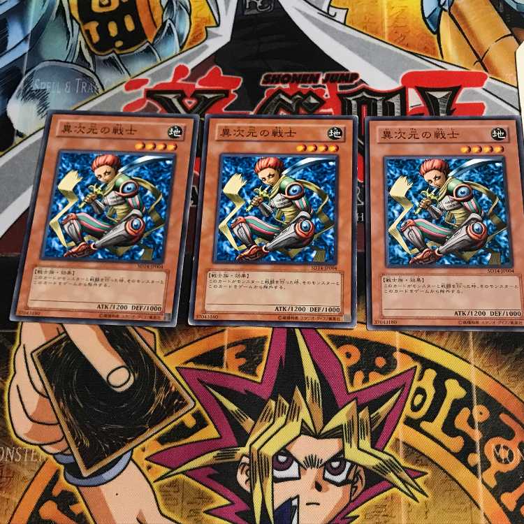 D.D. Warrior 8 Normal, set of 3 Tera.