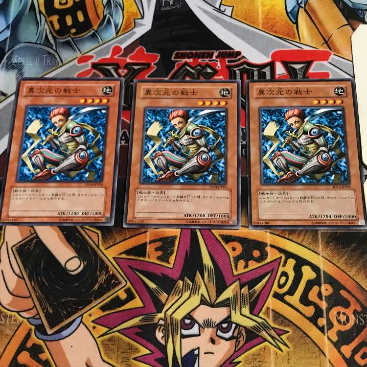 D.D. Warrior 9 Normal, set of 3 Tera.