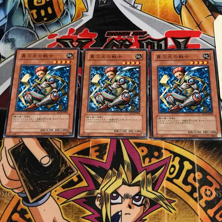 D.D. Warrior 10 Normal, set of 3 Tera.