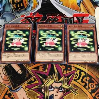 異次元の精霊 7 ノーマル 3枚セット てら