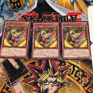 炎王獣 ガルドニクス 6 ノーマル 3枚セット てら