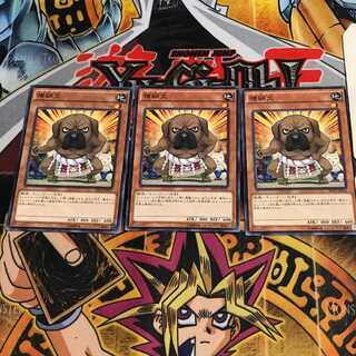 横綱犬 4 ノーマル 3枚セット てら