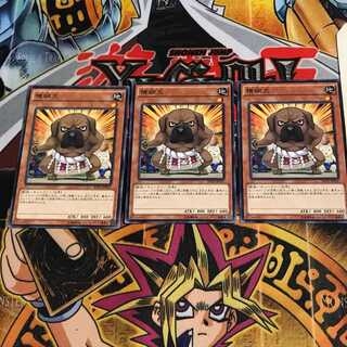 横綱犬 6 ノーマル 3枚セット てら