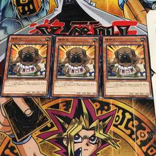 横綱犬 7 ノーマル 3枚セット てら