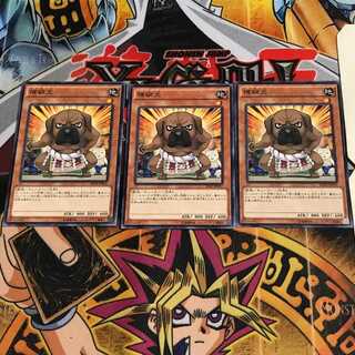 横綱犬 8 ノーマル 3枚セット てら