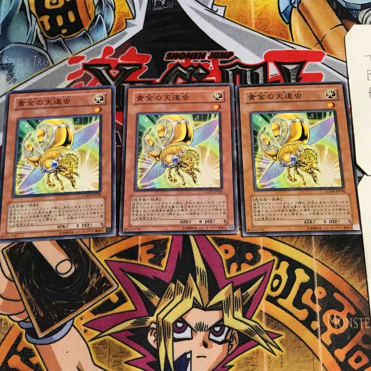 黄金の天道虫 1 ノーマル 3枚セット てら