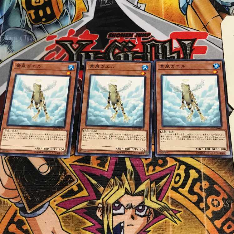 黄泉ガエル 6 ノーマル 3枚セット てら