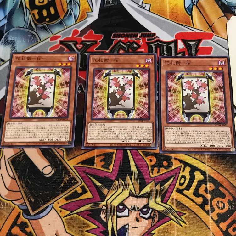 Hanafuda Mamoru - Sakura - 1 Normal, set of 3 Tera