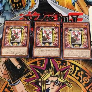 Hanafuda Mamoru - Sakura - 1 Normal, set of 3 Tera