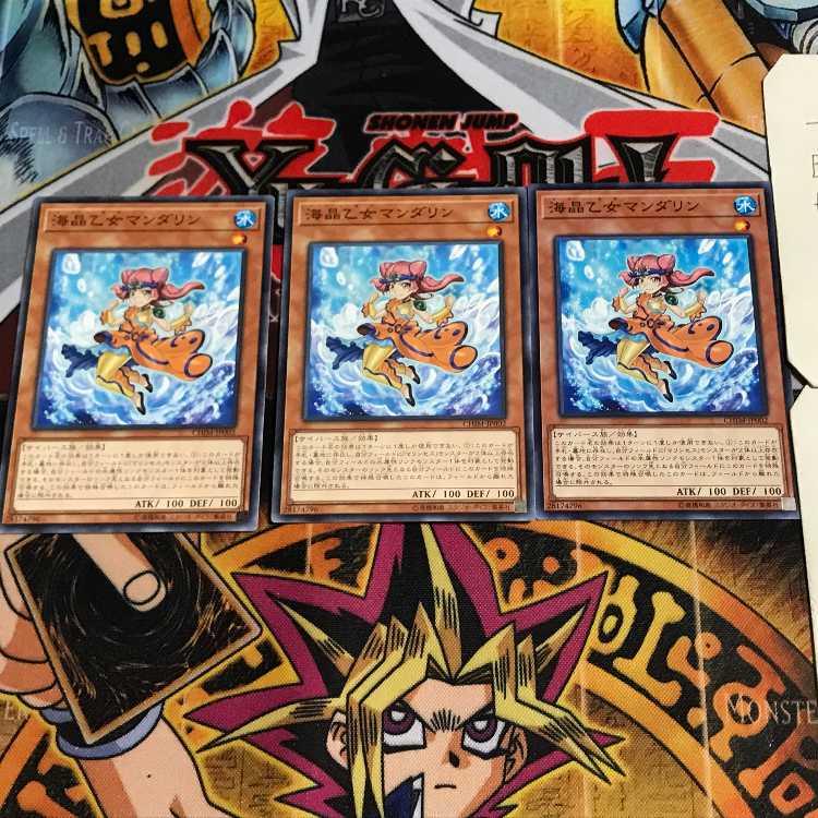 海晶乙女マンダリン 4 ノーマル 3枚セット てら