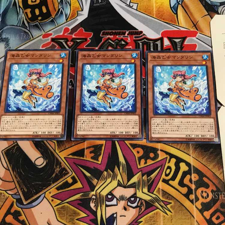 海晶乙女マンダリン 5 ノーマル 3枚セット てら