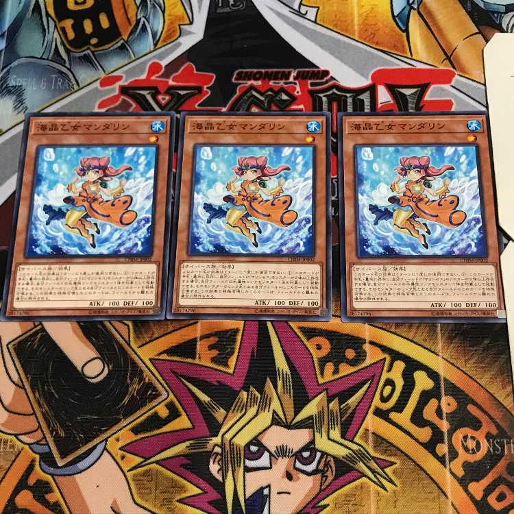 海晶乙女マンダリン 6 ノーマル 3枚セット てら