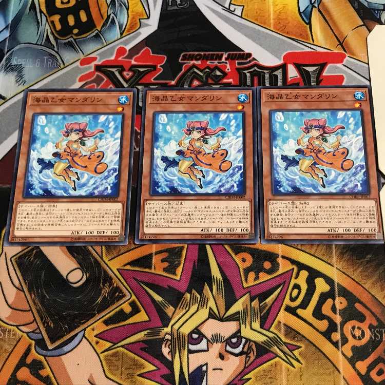 海晶乙女マンダリン 7 ノーマル 3枚セット てら