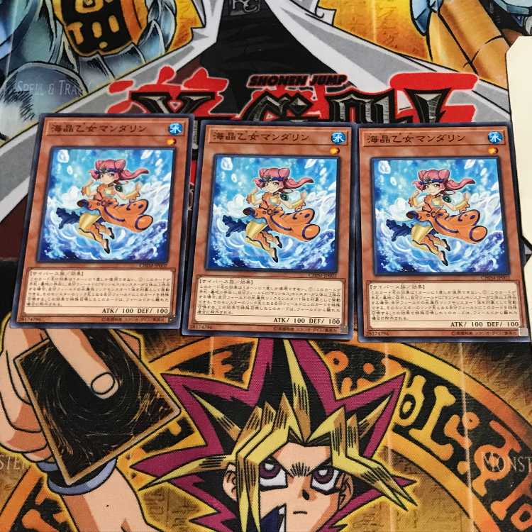 海晶乙女マンダリン 9 ノーマル 3枚セット てら