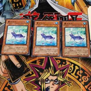 貫ガエル 2 ノーマル 3枚セット てら