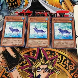 貫ガエル 6 ノーマル 3枚セット てら