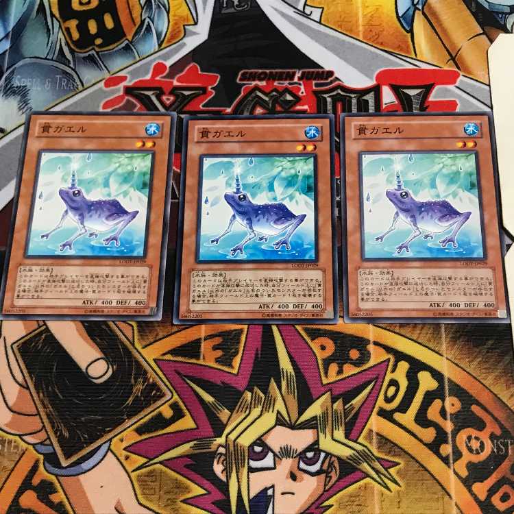 貫ガエル 8 ノーマル 3枚セット てら