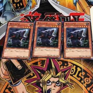 吸血コアラ 4 ノーマル 3枚セット てら