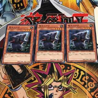 吸血コアラ 5 ノーマル 3枚セット てら