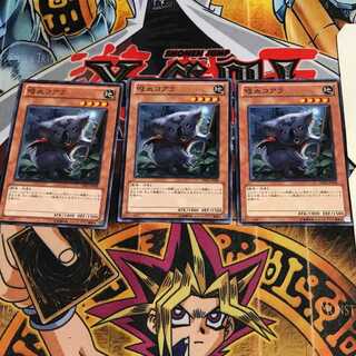 吸血コアラ 7 ノーマル 3枚セット てら