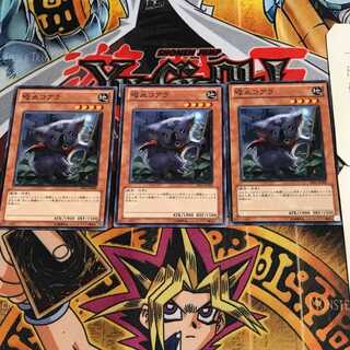 吸血コアラ 10 ノーマル 3枚セット てら