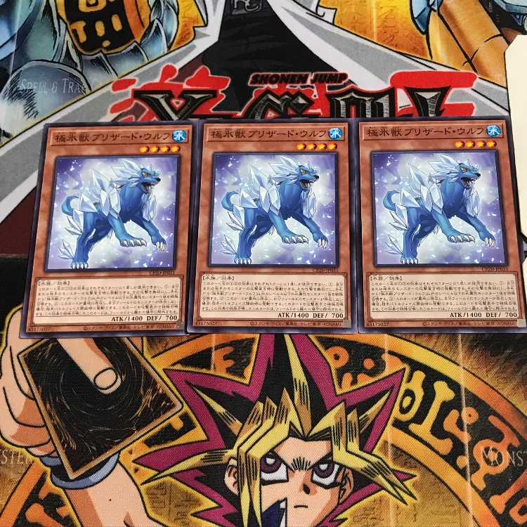 極氷獣ブリザード・ウルフ 2 ノーマル 3枚セット てら