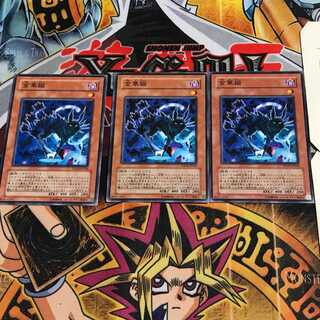 金華猫 1 ノーマル 3枚セット てら