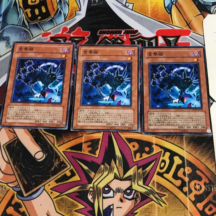 金華猫 6 ノーマル 3枚セット てら